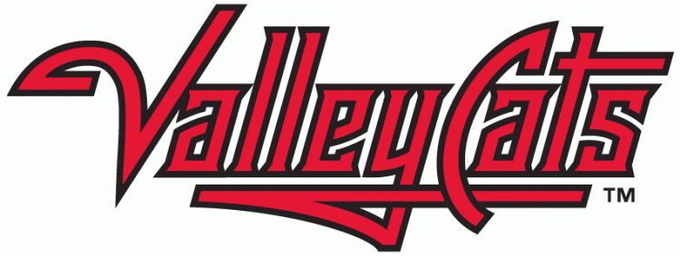Tri-City Valleycats 2002-Pres Wordmark Logo iron on heat transfer